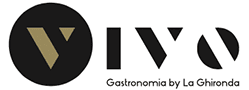 Vivo Geel